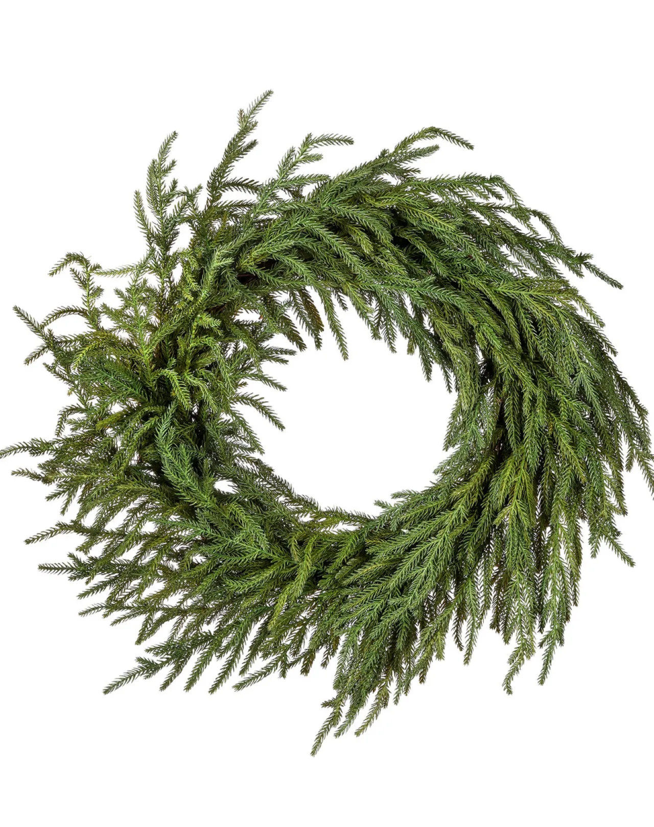 24" Just Cut Norfolk Pine Wreath< Hot