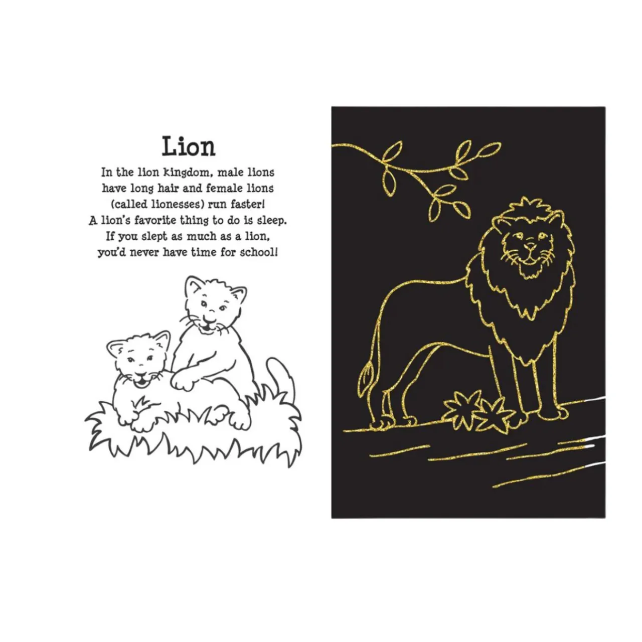 At the Zoo Scratch & Sketch< Clearance