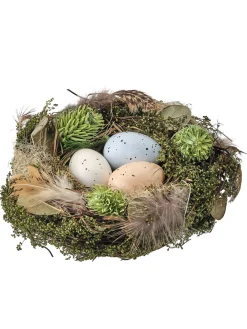 Aviary Bird Nest with Eggs 6"< Clearance