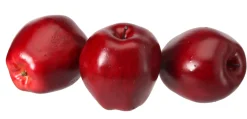 Bag of 3 Washington Apple 3.5"< Online