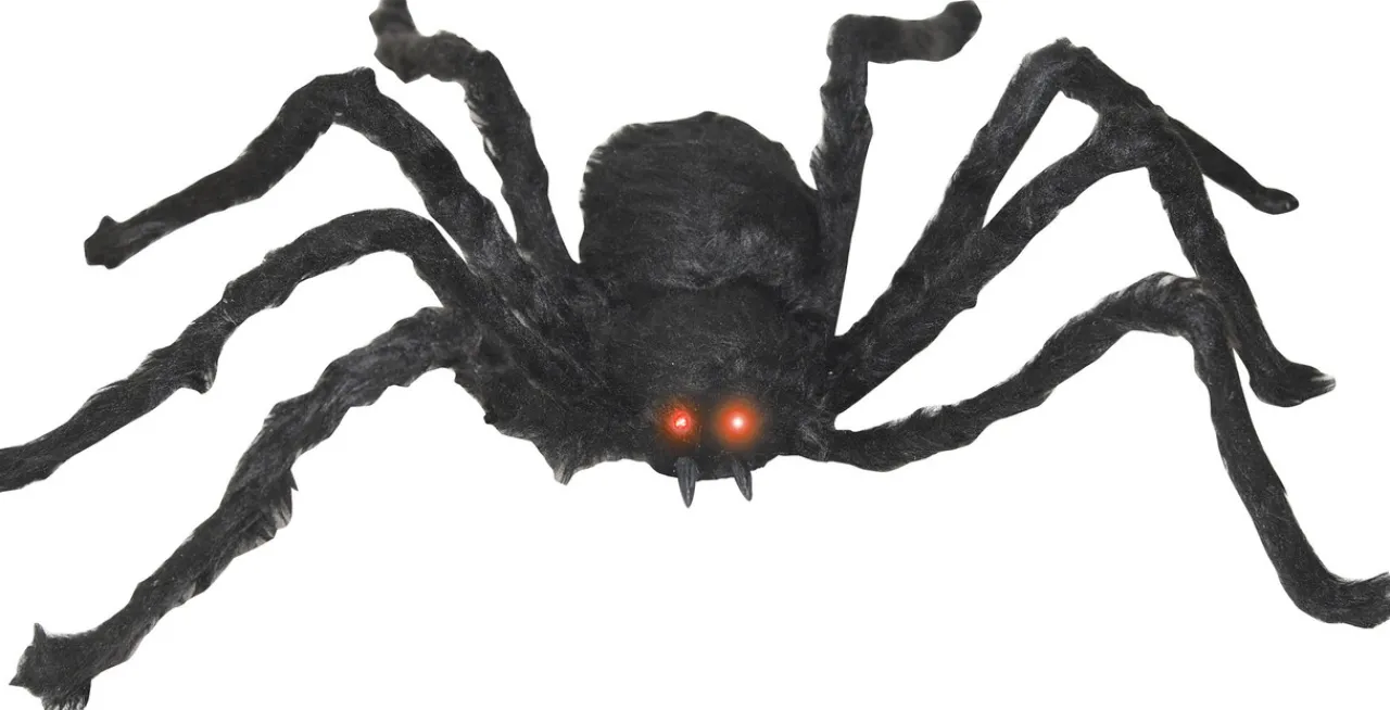 Black Spider< New