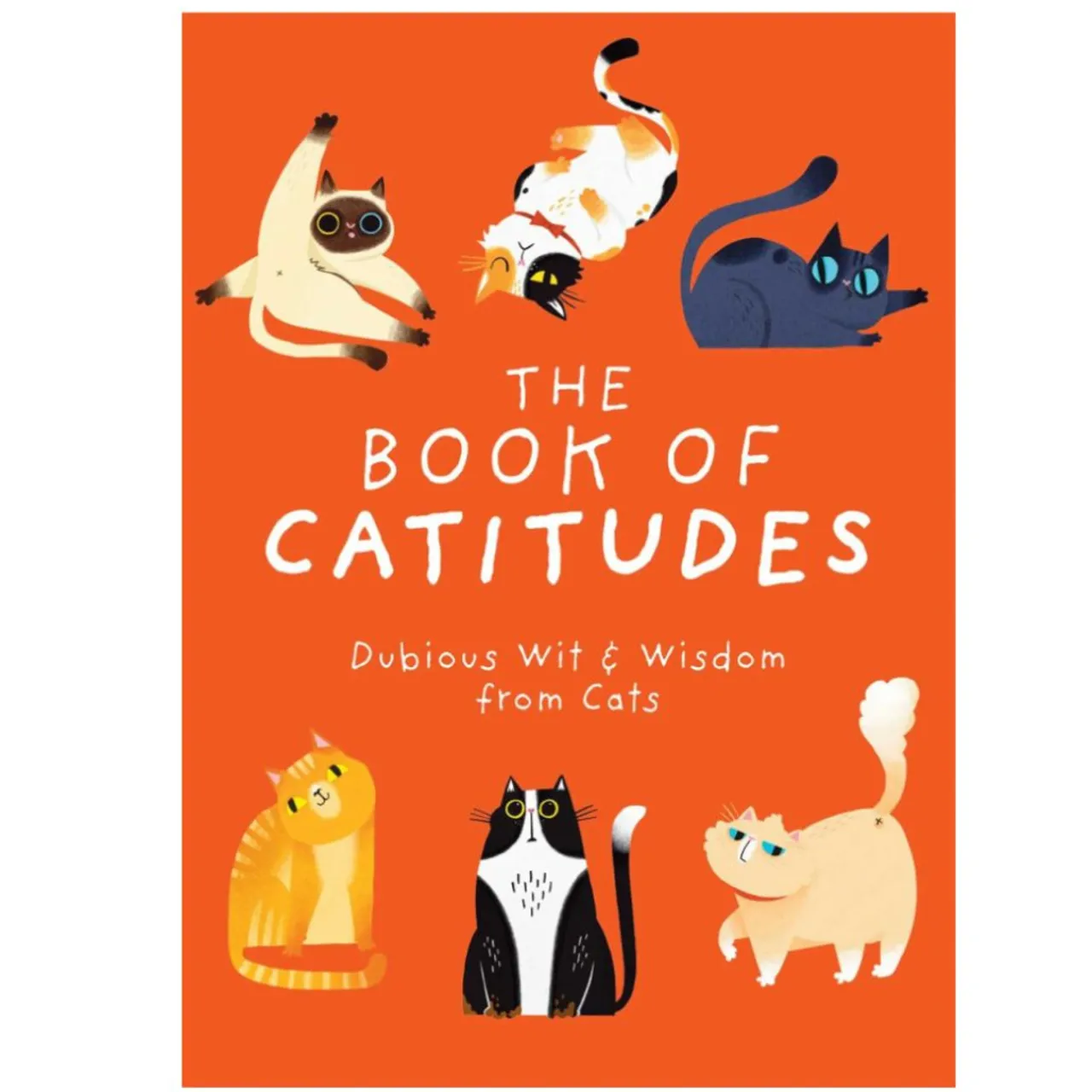Book of Catitudes< New