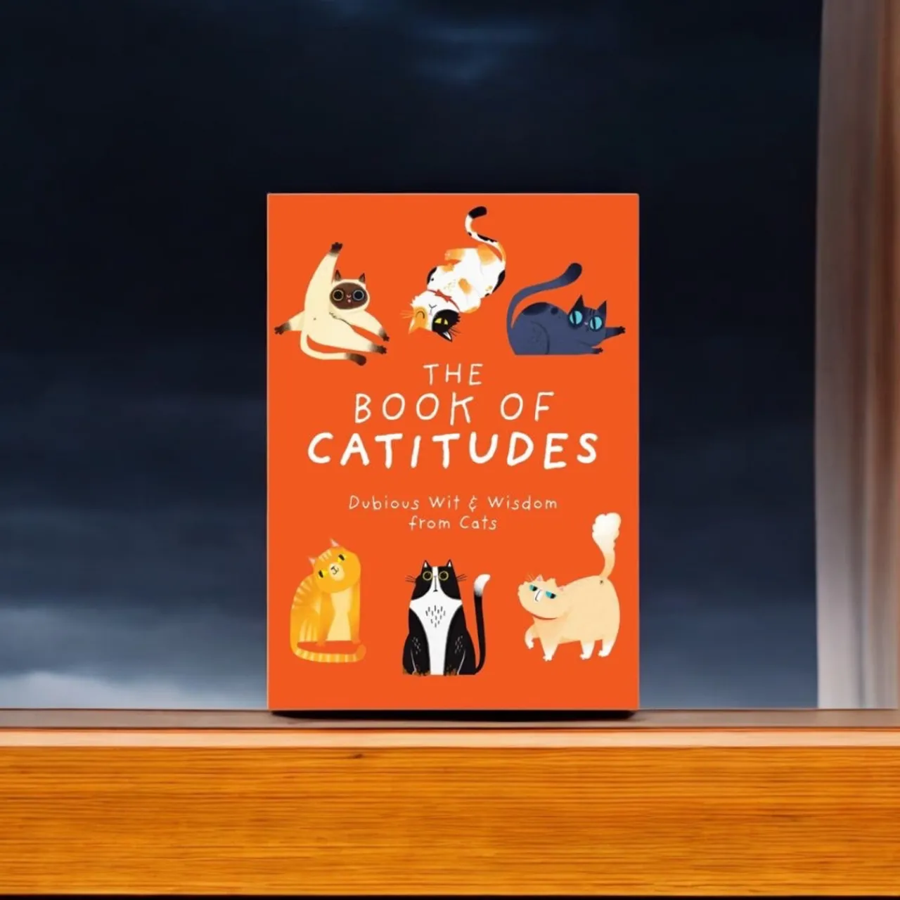 Book of Catitudes< New