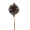 Chocolate Cake Pop Ornament< Fashion