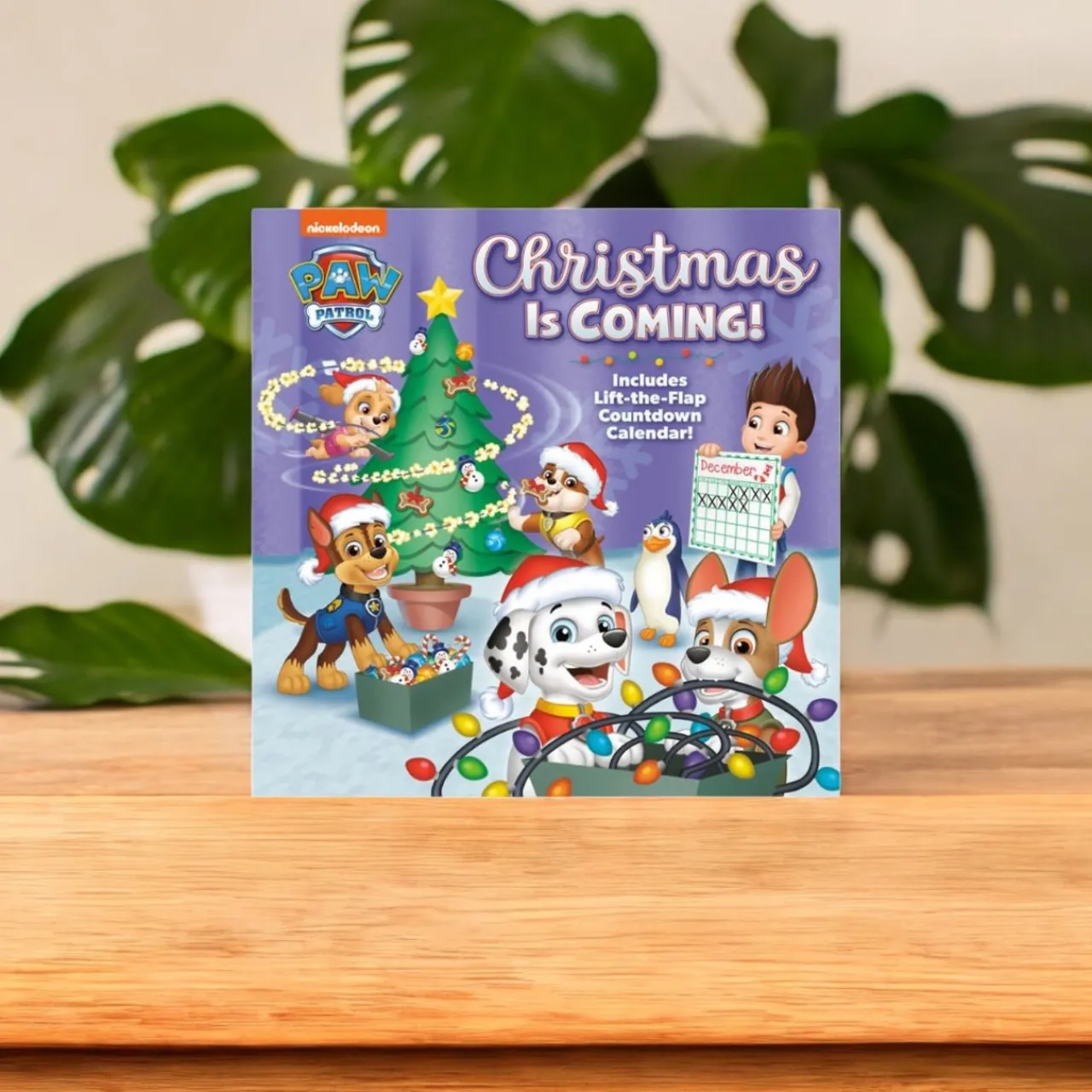 Christmas Is Coming< Fashion