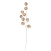 Colorful Confetti Glittered Ball Spray Decoration<Kurt Adler Sale