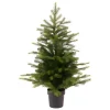 Everlands Mini Potted Tree - Grandis, 17.7" Tabletop< Discount