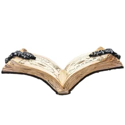 Feeling Lucky Psychic Book Figurine< Online