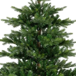 5 Foot Grandis Fir Unlit Christmas Tree< New