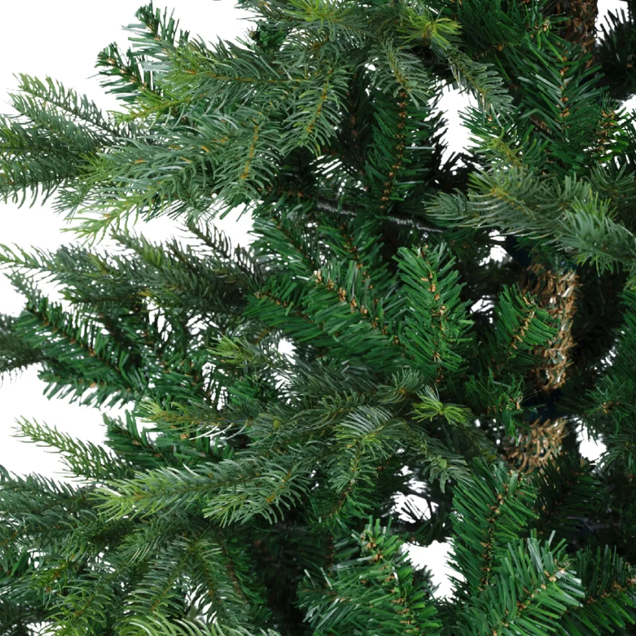 5 Foot Grandis Fir Unlit Christmas Tree< New