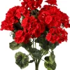 Geranium Bush 22"< Clearance