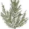Glittered Green Cedar Spray, 19 inches< Fashion
