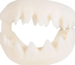 Great white shark teeth< Fashion