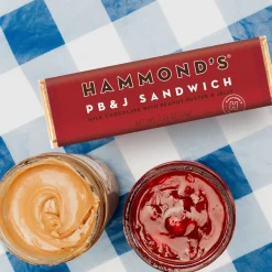 Hammond's Candies PB &amp; J Sandwich Milk Chocolate Candy Bar< Online