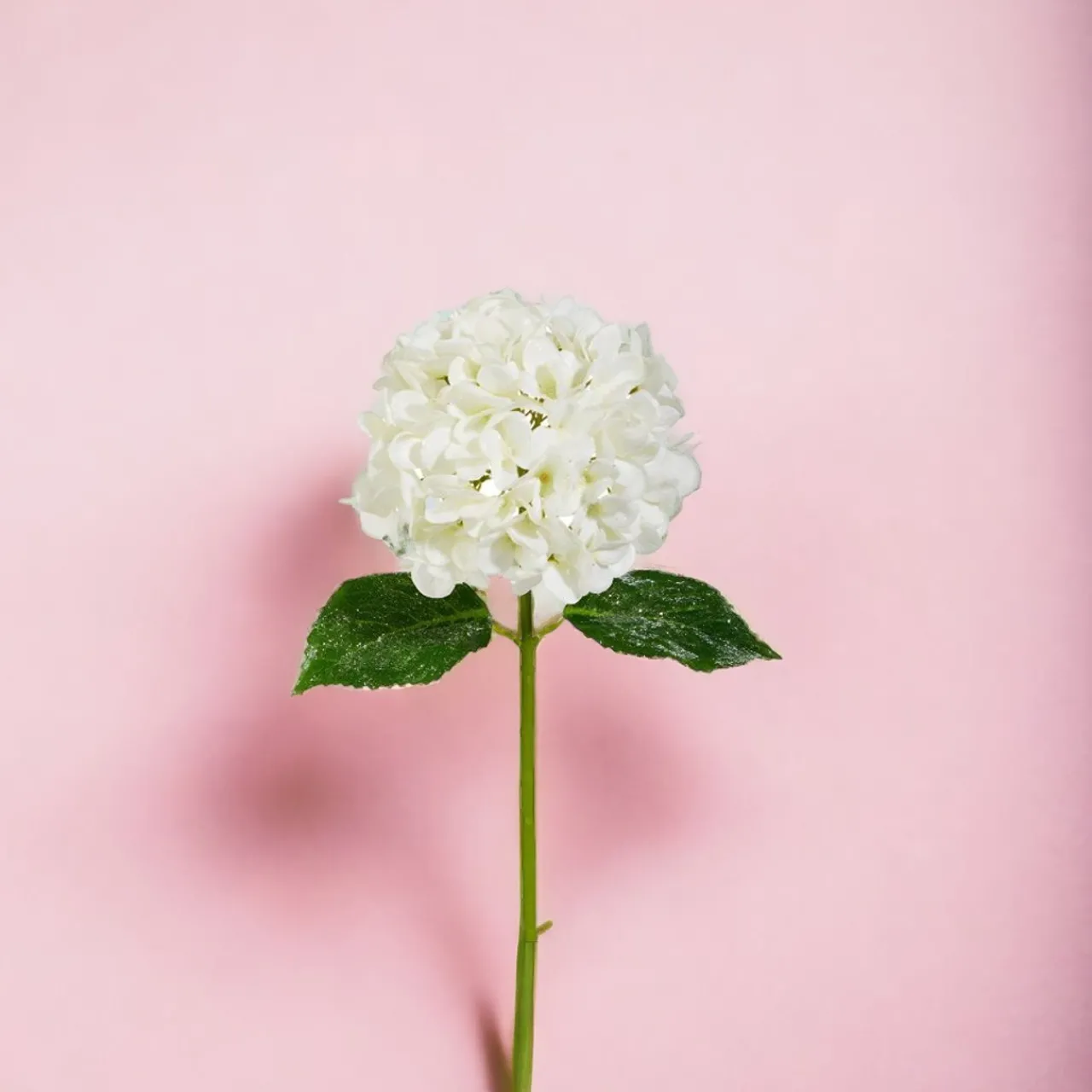Iced White Hydrangea Stem< New