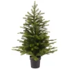 35.5 Inch Unlit Grandis Pine Potted Tree< Best