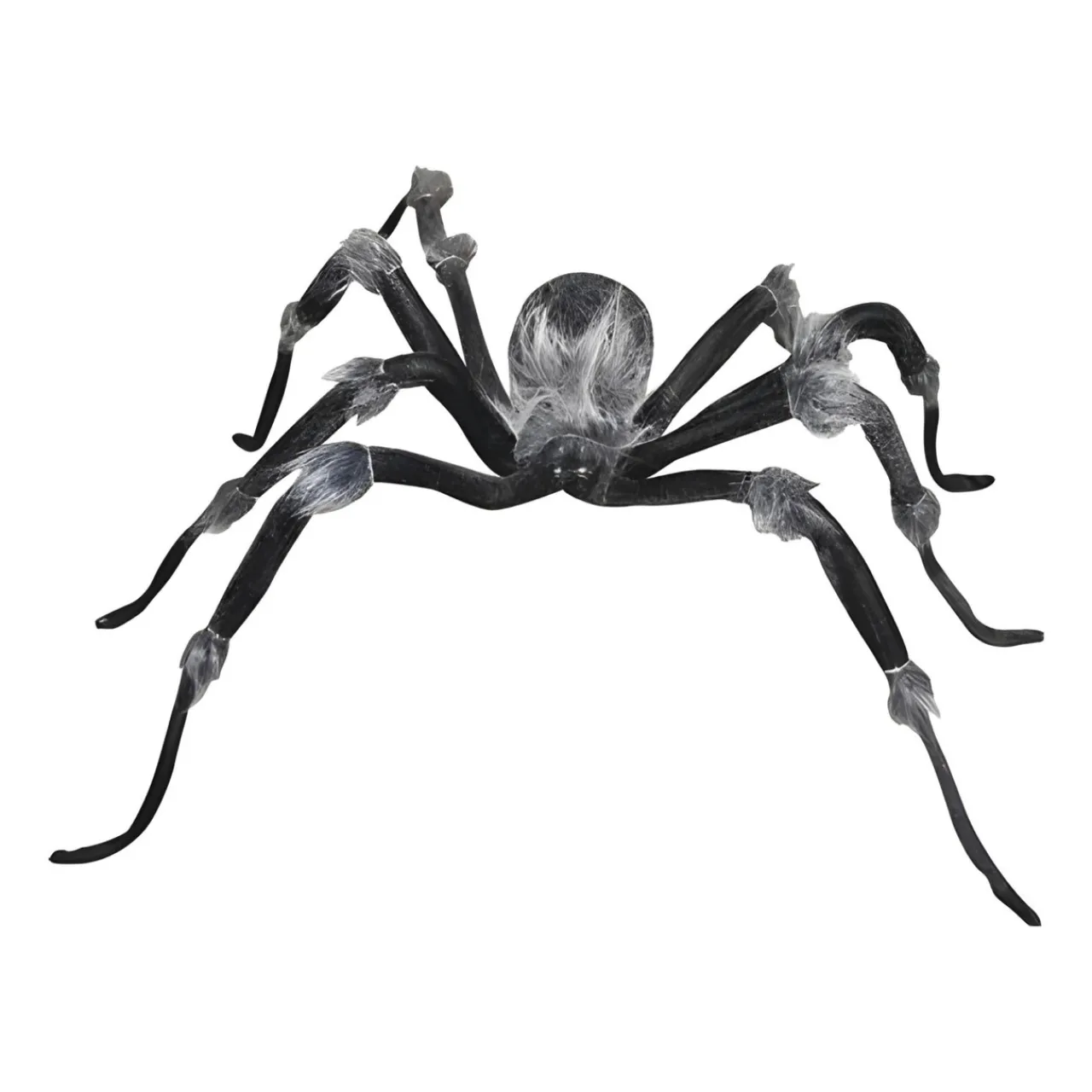 Jewel Eyed Spider< Hot