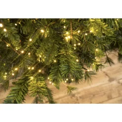 - 768 LED Warm White Cluster Lights Green Wire | The Christmas Loft<Lumineo Hot