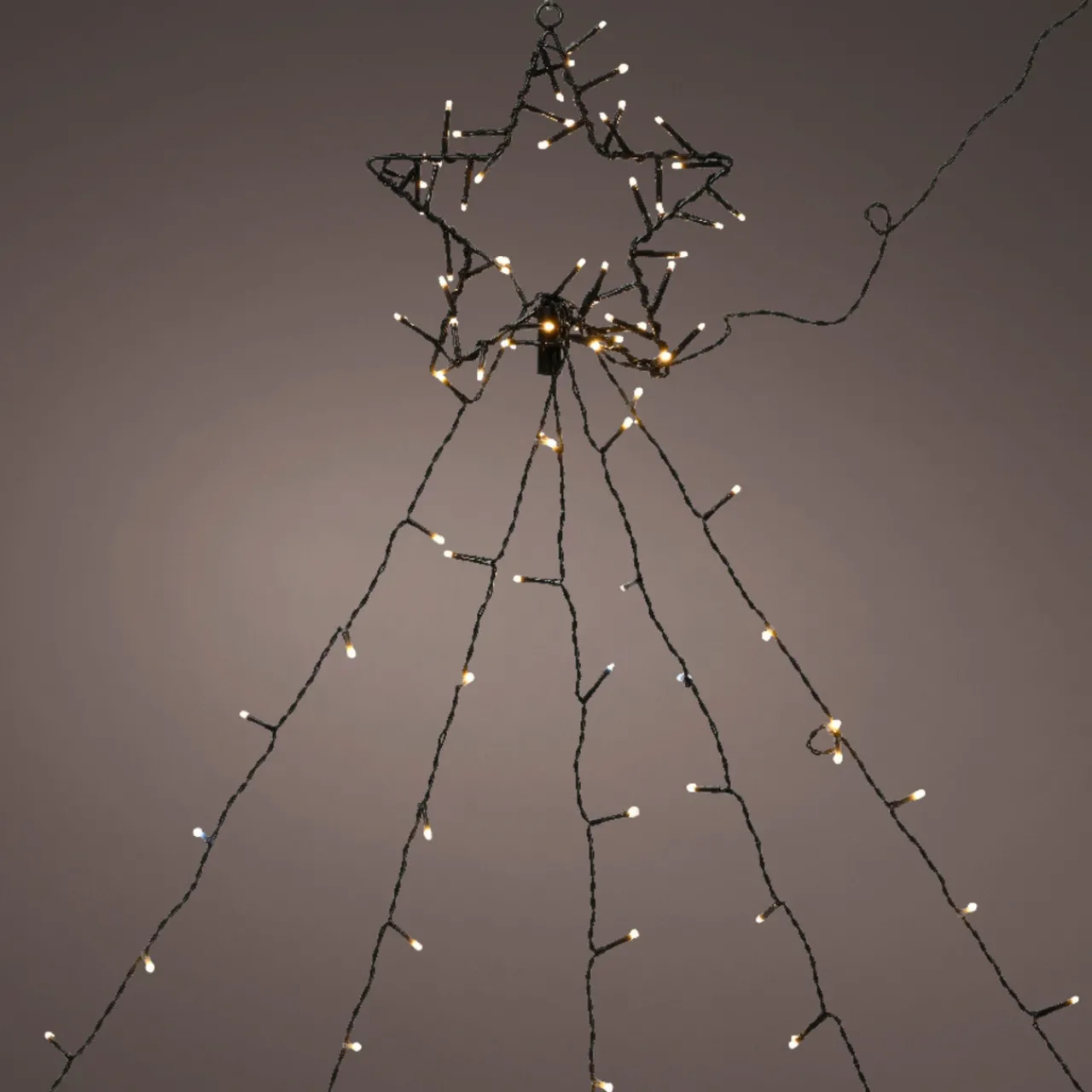 255 LED Shooting Star<Lumineo Hot