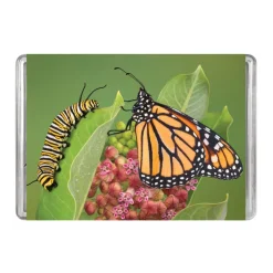 Monarch Butterfly Minipix Puzzle< Sale