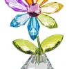 Multicolored Happy Flower Petal< Online