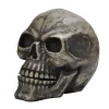 Oversized Skeleton Skull Figurine< Outlet