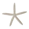 Plastic Frosted Leggy Starfish Ornament< Clearance