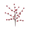 Red Berries Pick< New