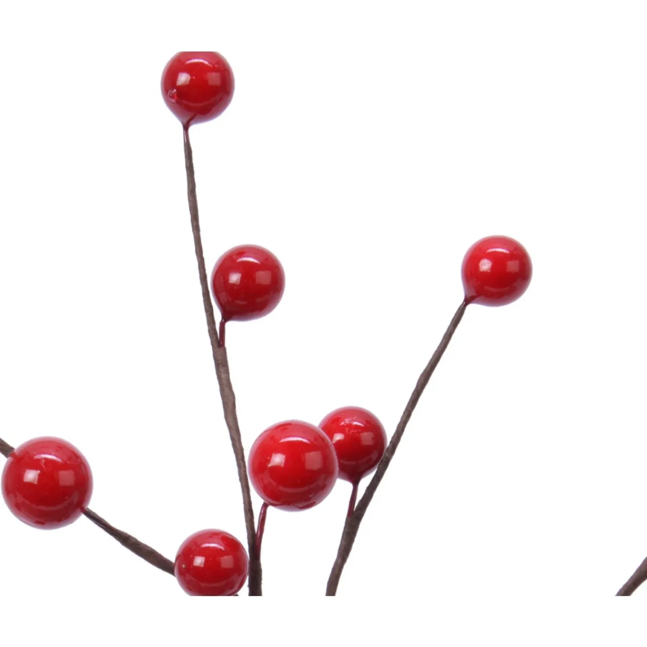 Red Berries Pick< New