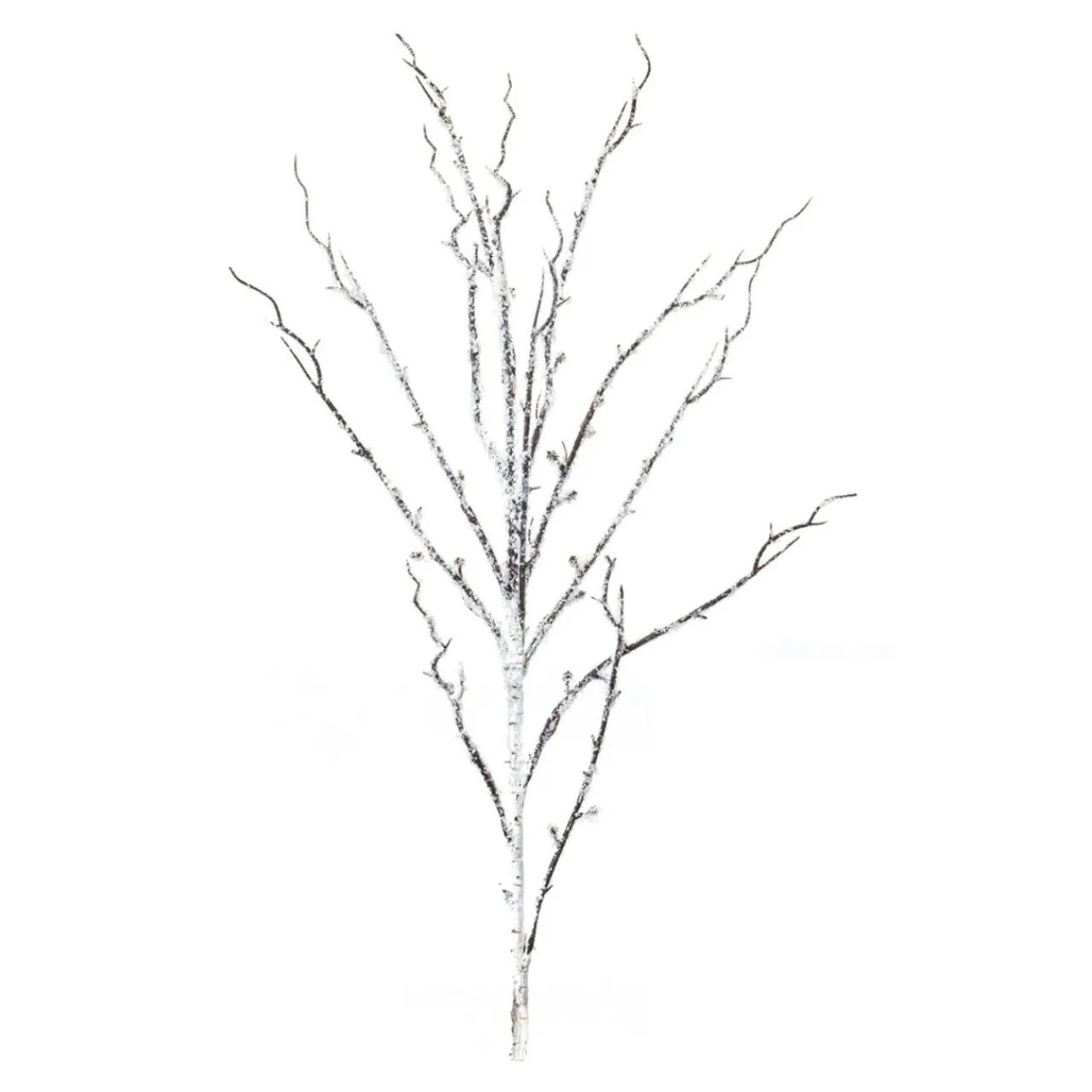 Snowy Birch Branch< Fashion