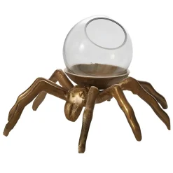 Spider Terrarium< New