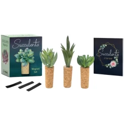 Succulents Magnet Set< Outlet
