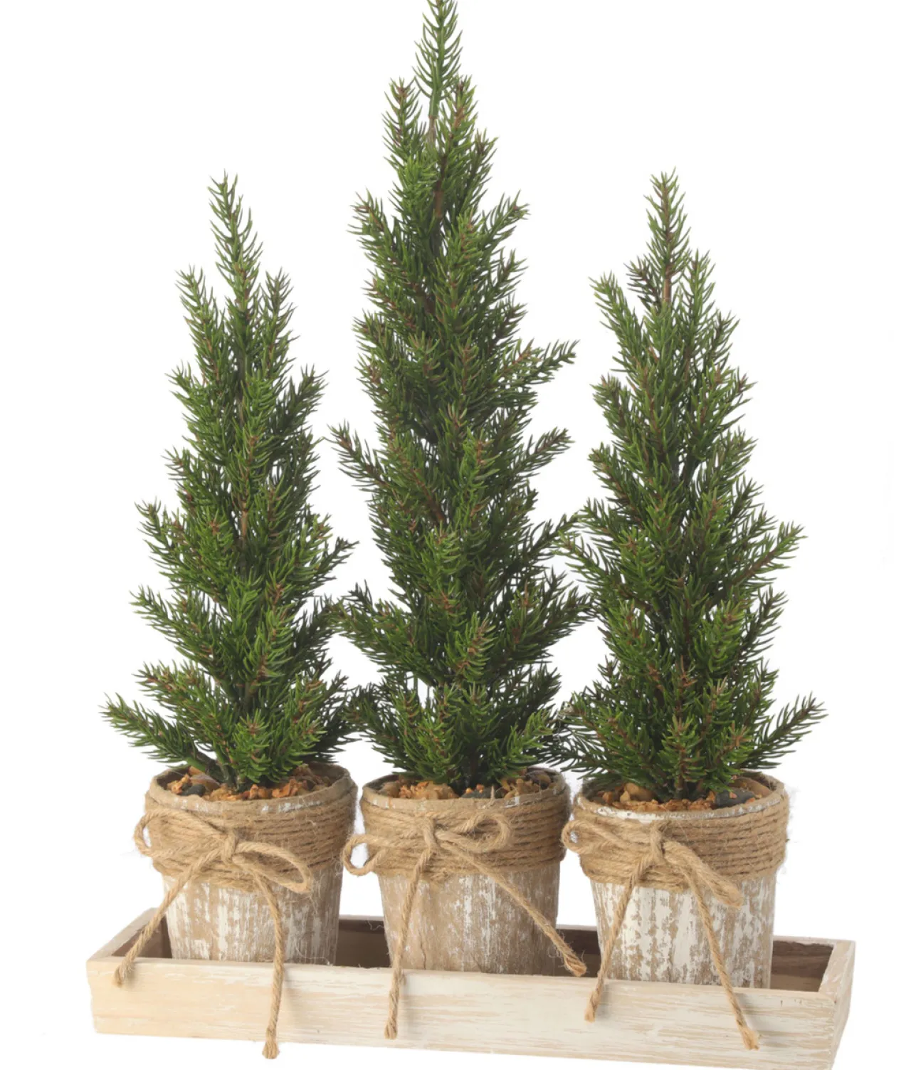 Triple Potted Pine Seedling Tray< Sale