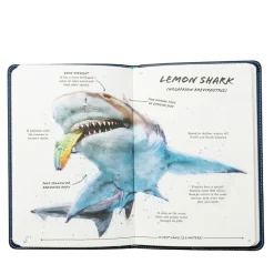 Ultimate Shark Field Guide< Sale