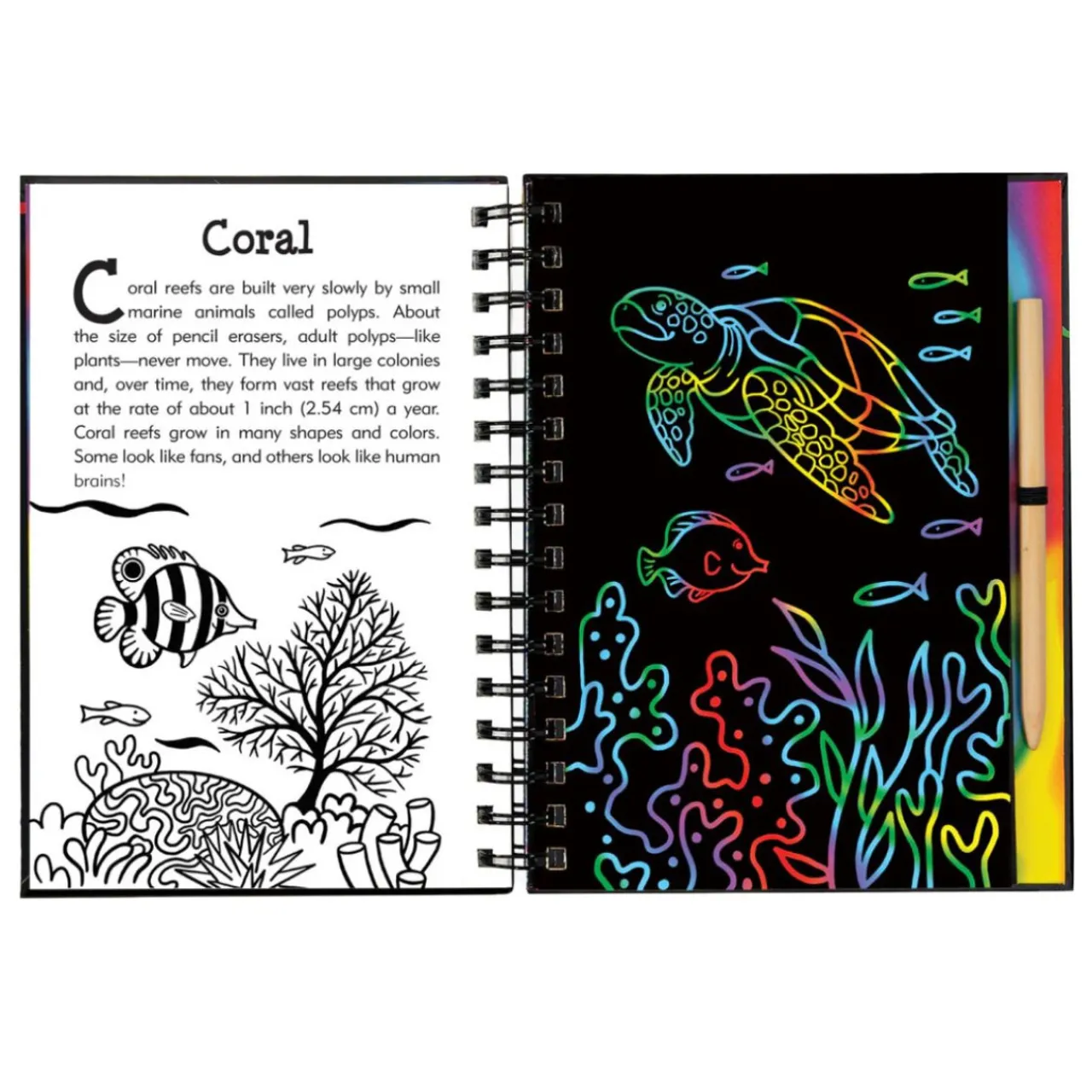 Under the Sea Scratch & Sketch Art Activity Book< Fashion