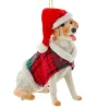 Yellow Labrador Retriever with Plaid Coat and Santa Hat Ornament<Kurt Adler Fashion